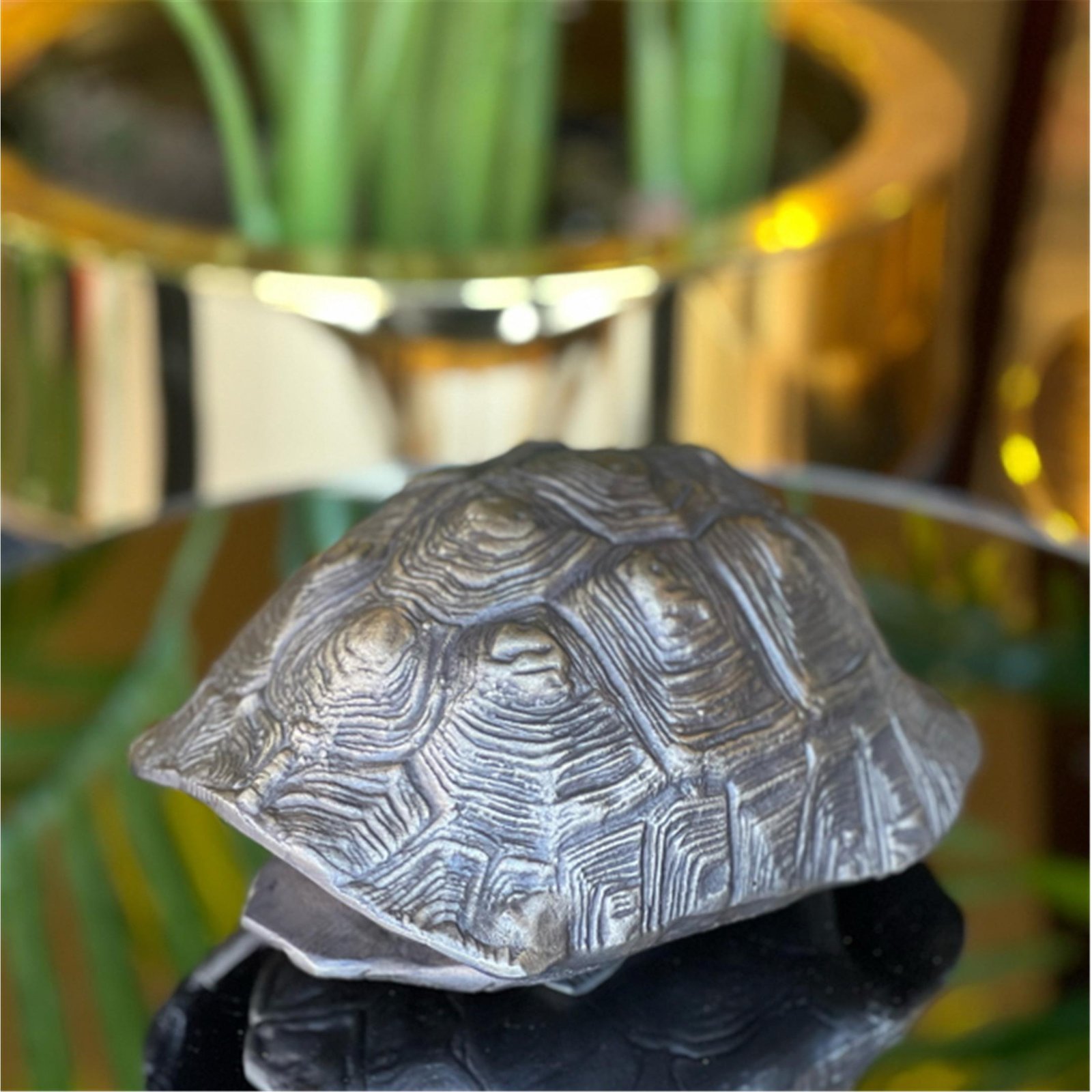 KAPLUMBAĞA AKSESUAR ESKİTME