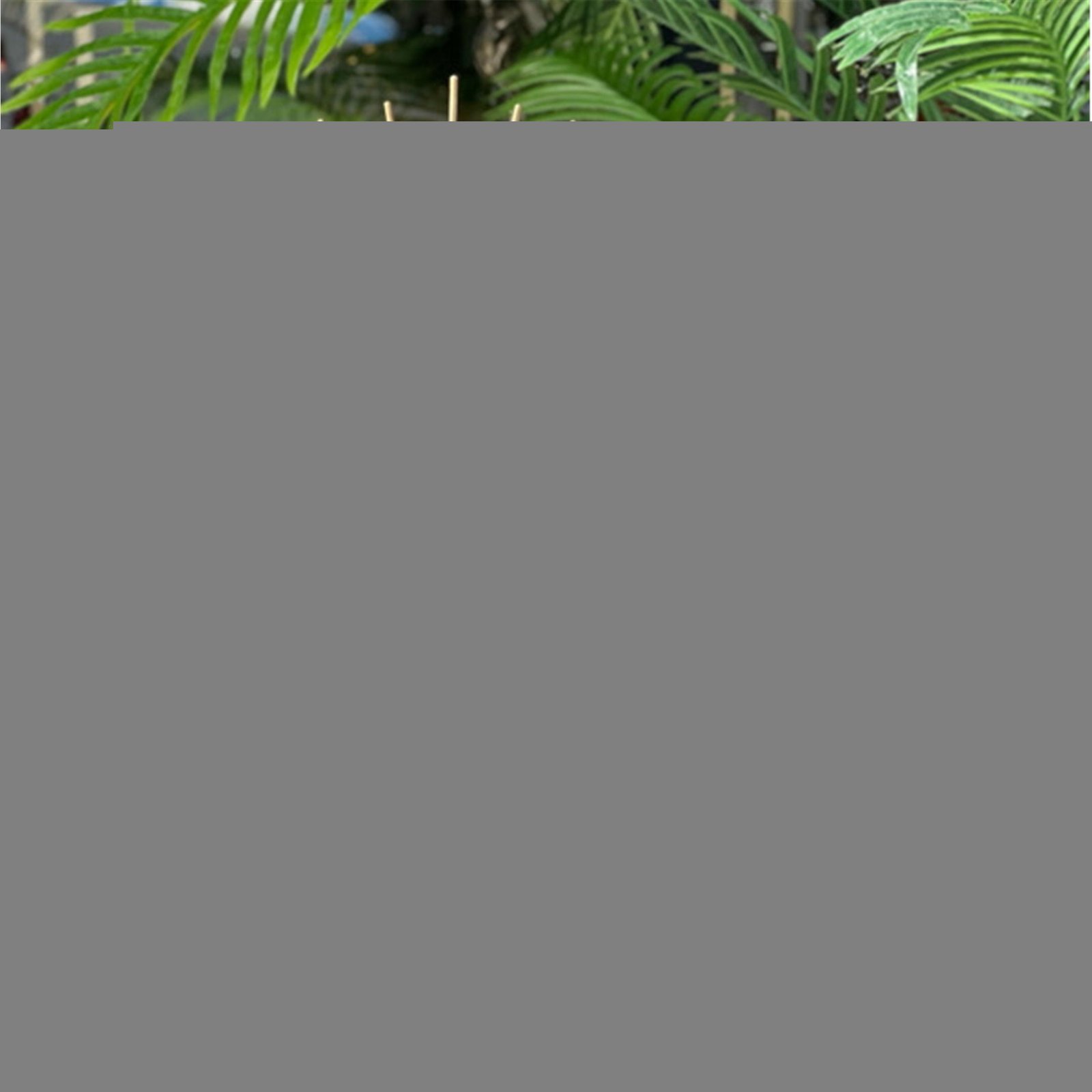 2 Lİ GÖZ AKSESUAR KIRMIZI