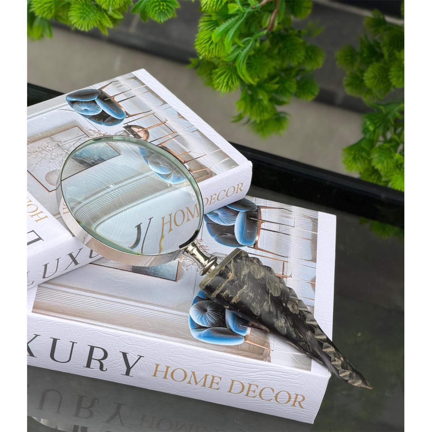 GÜMÜŞ BÜYÜTEÇ KESİK DÖNGÜ BOYNUZ