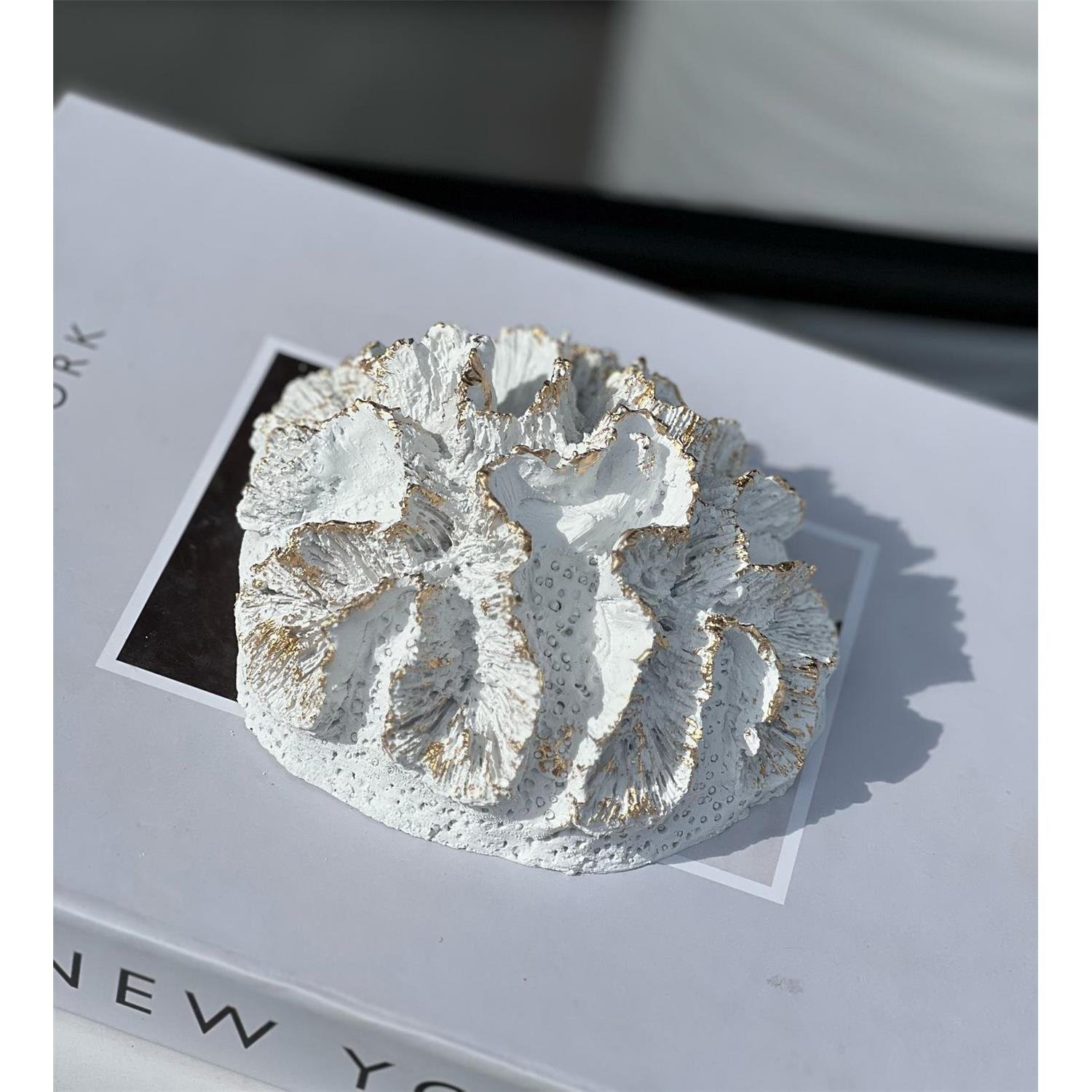 KÜÇÜK BEYİN MERCAN BEYAZ