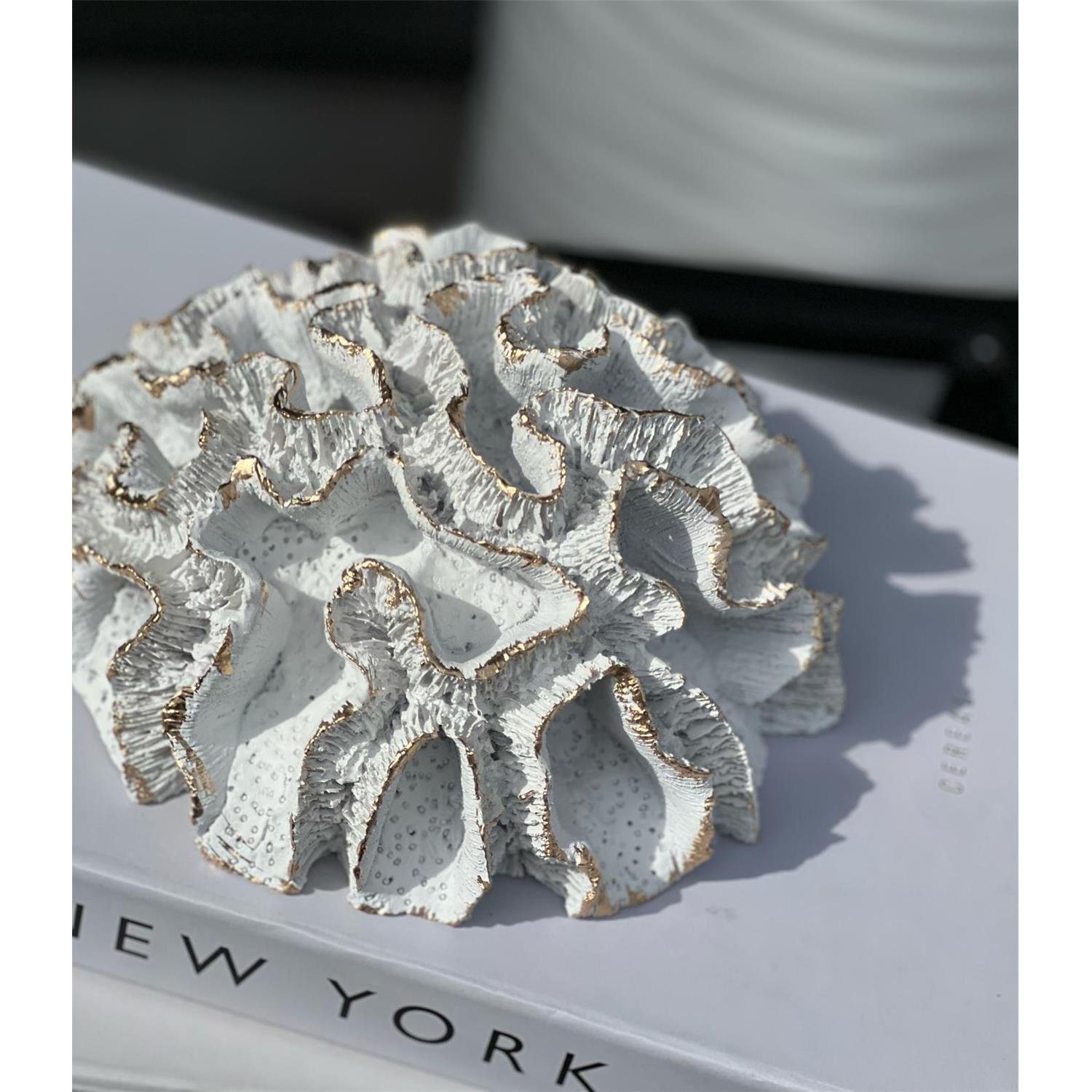 BÜYÜK BEYİN MERCAN BEYAZ