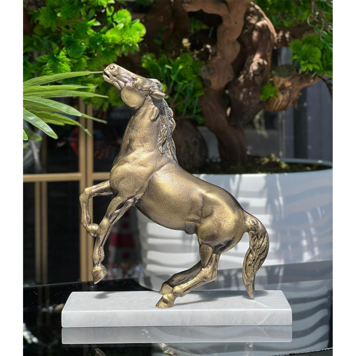 25x30 BÜYÜK PİRİNÇ AT ESKİTME