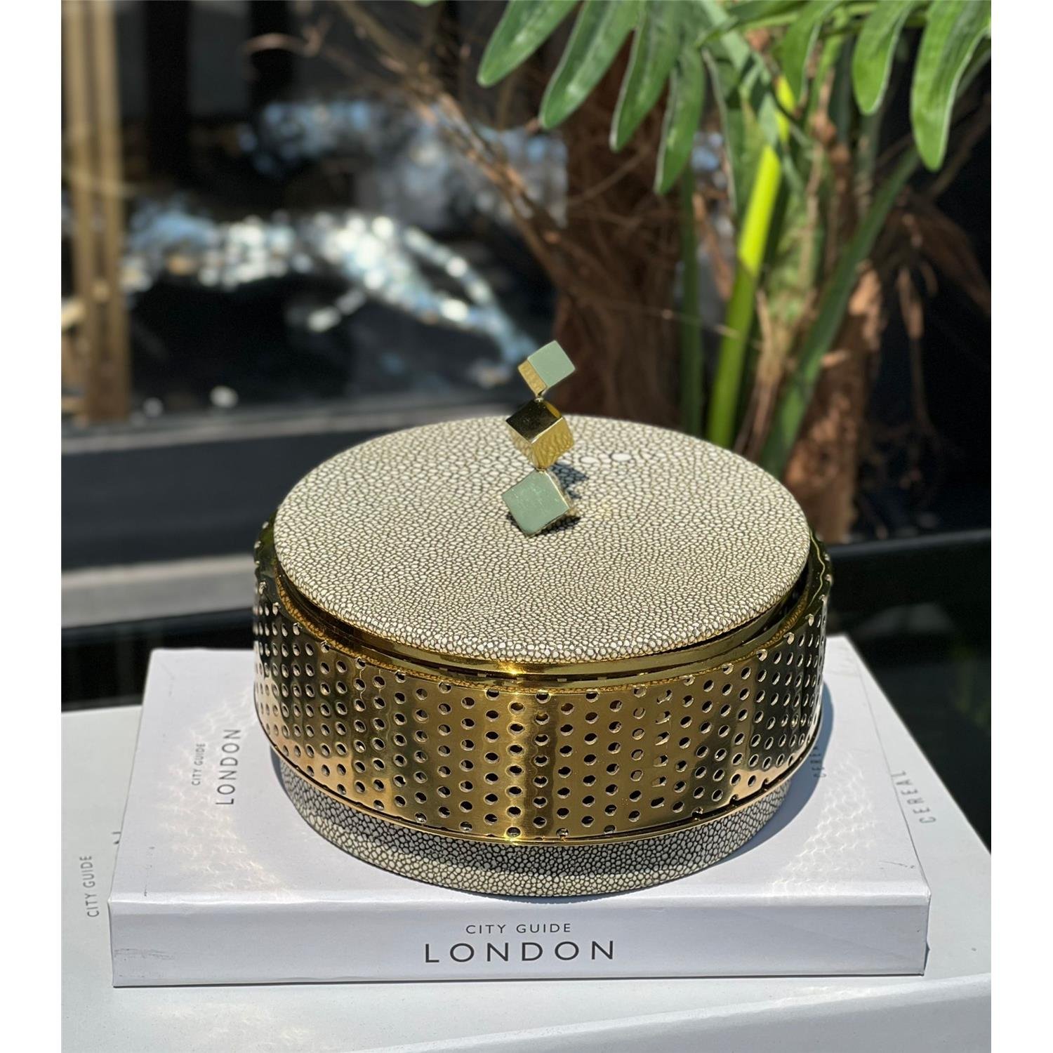 UTAPIA KAVANOZ BÜYÜK