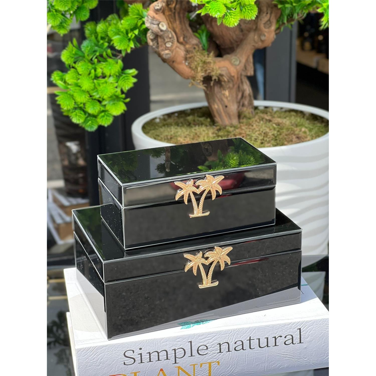 İTHAL CAM KUTU PALMİYE SİYAH