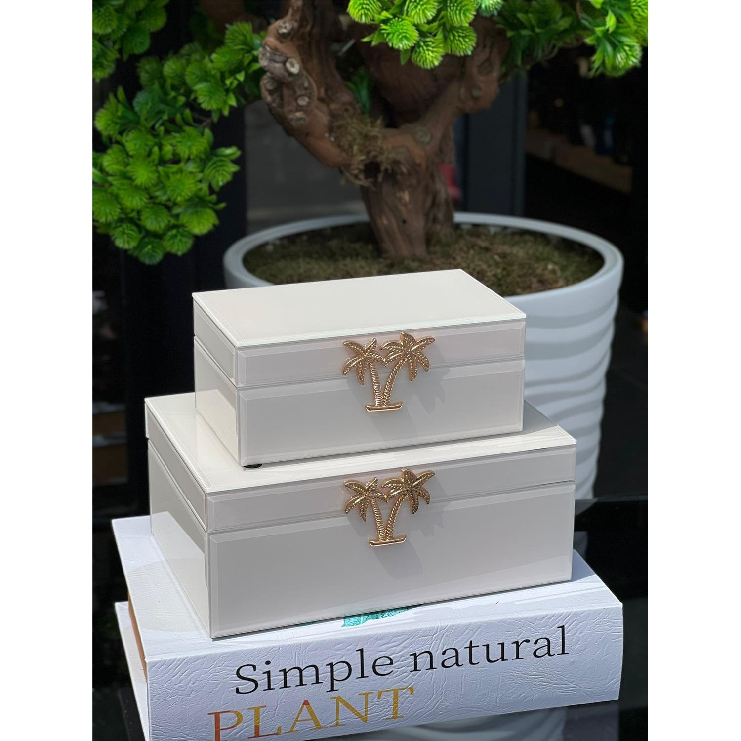 İTHAL CAM KUTU PALMİYE KREM