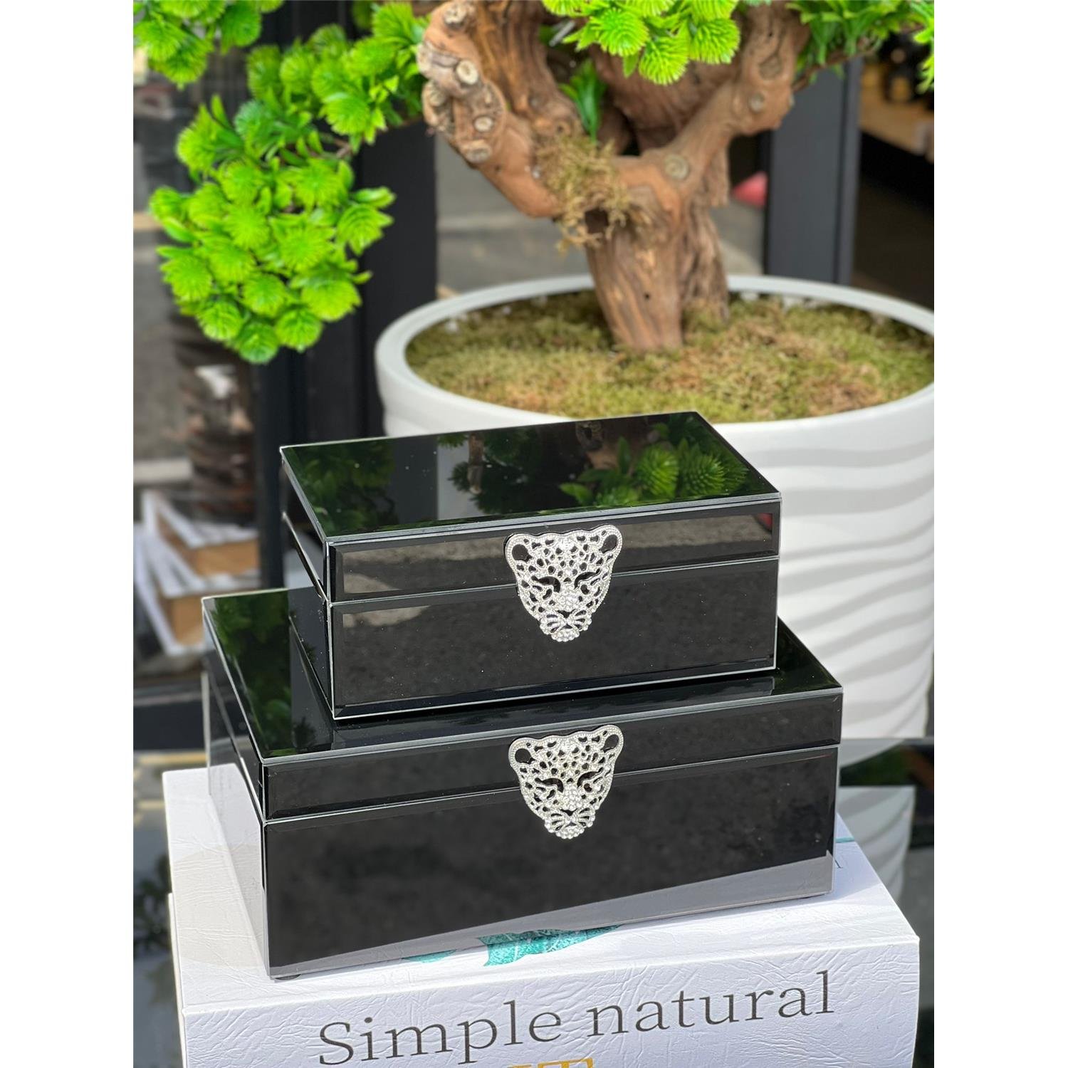 İTHAL CAM KUTU CAT SİYAH GÜMÜŞ